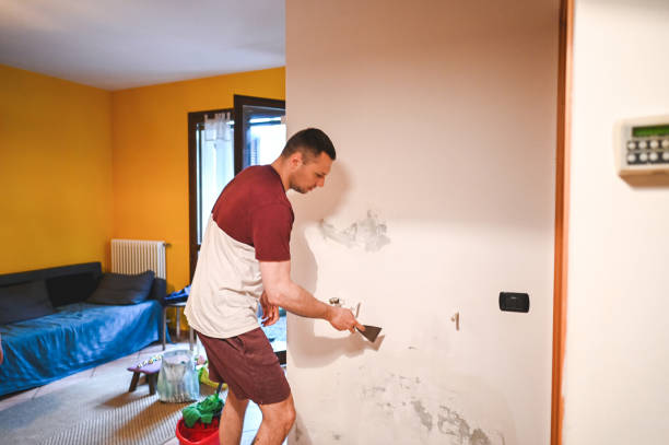 Reliable Pleasant View, TN Mold Remediation Solutions